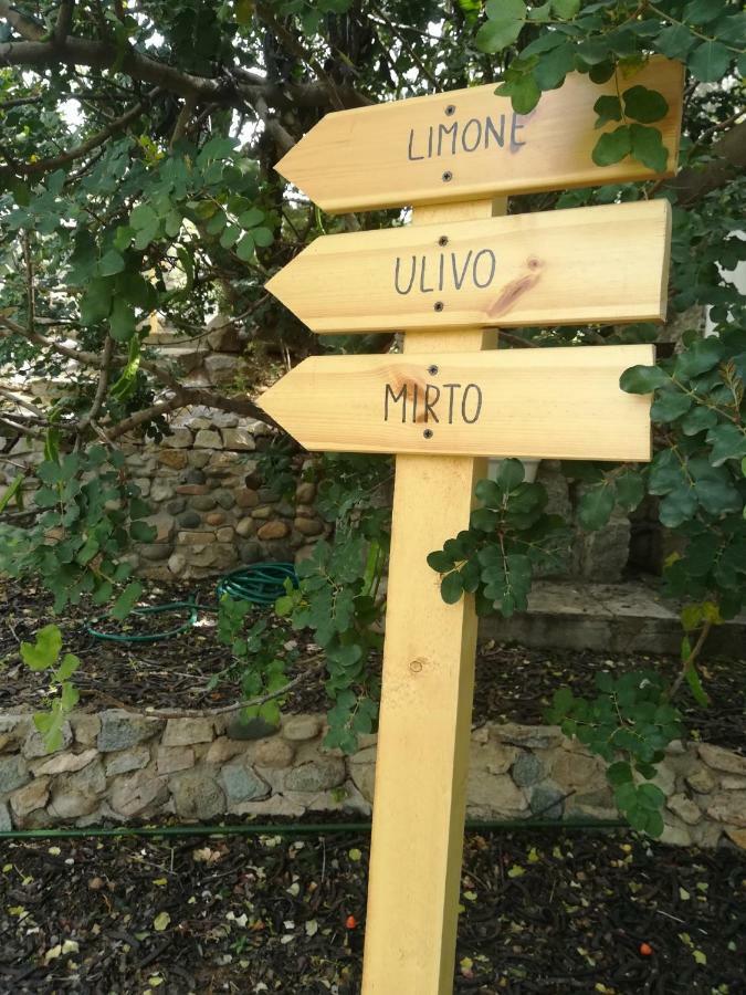 דירות Quartu SantʼElena Ulivo מראה חיצוני תמונה